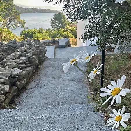 Echoes Of Mljet - Odjeci Mljeta Sobra